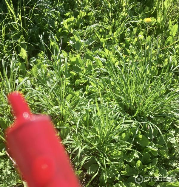 Přípravek na ošetření hlíz Green Belt Komandor + foto