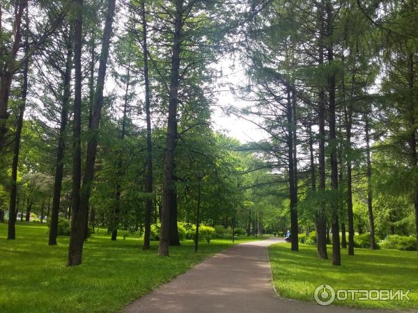 Аршиновский парк в москве карта