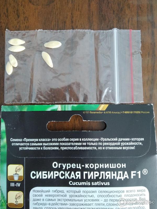 Сибирский Дачник Семена Официальный Сайт Интернет Магазин