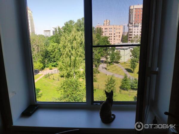 окна виталия хрусталева отзывы. окна виталия хрусталева отзывы. сертифицированный партнер рехау. окна рехау грацио 70 фото. оконный бутик хрусталева.