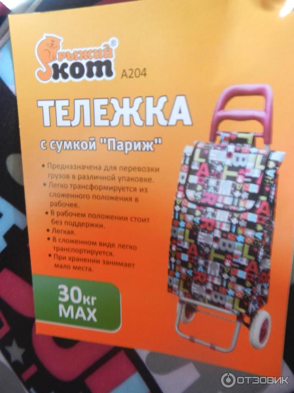 Сумка рыжий кот. Сумка рыжий кот