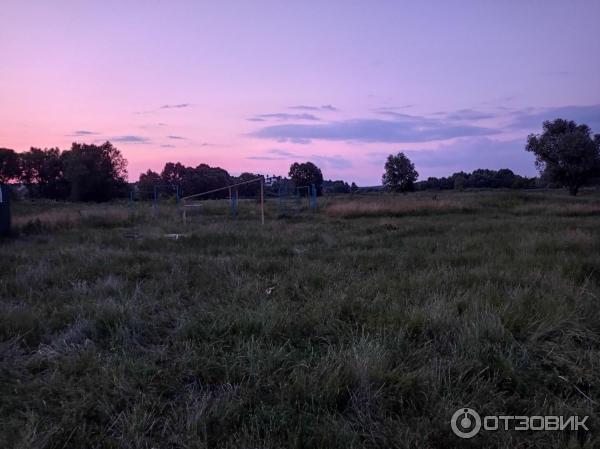 Смартфон Xiaomi Redmi Note 9 фото