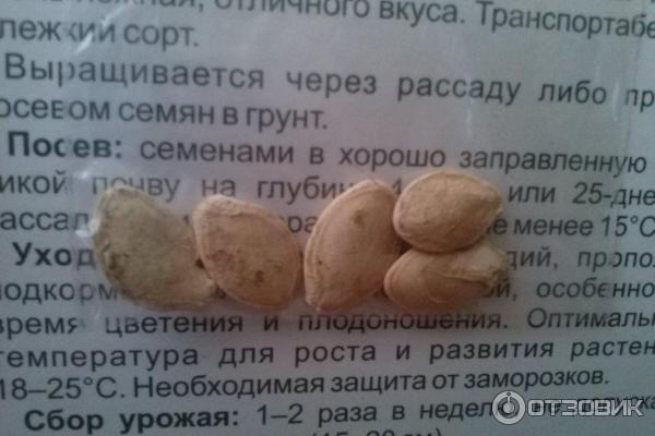 Семечки кабачка польза и вред