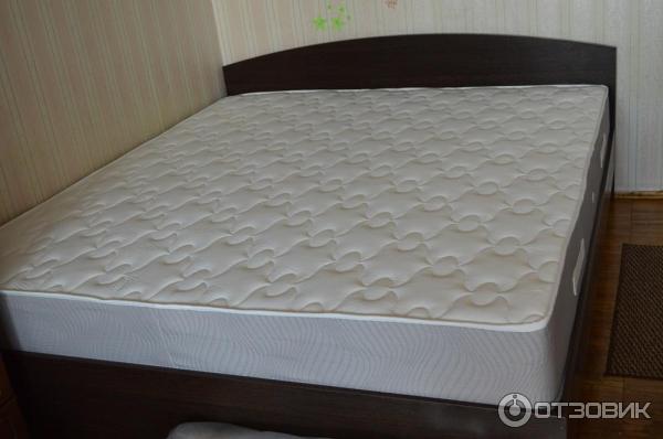 Отзыв о Матрасы Materlux | Матрас Materlux Ecologic Dream - идеальное ...