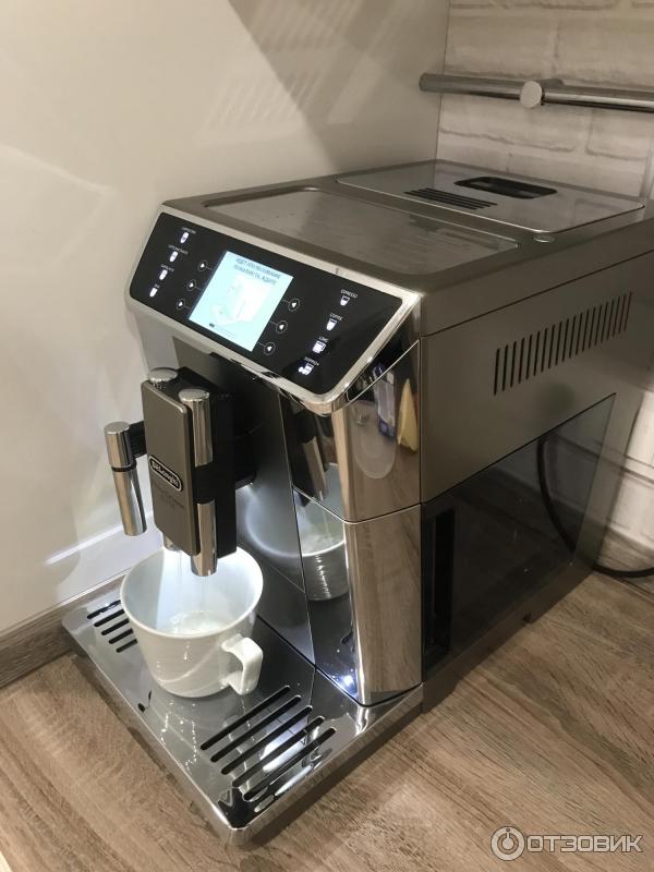 Ms. Ms. 55. 55. 650.