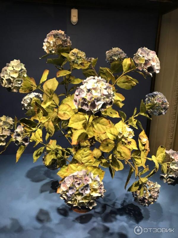 Йозеф лауэр (josef lauer), 1818-1881. Цветок эрмитаж. Иозеф лаунер художник. Цветок эрмитаж. Эрмитаж выставка фарфора владимира каневского.