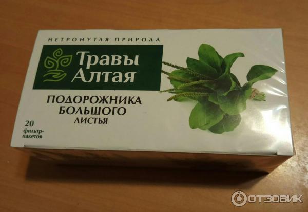 отхаркивающие средства травы