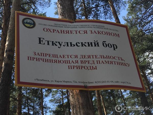 Боровушка еткуль карта