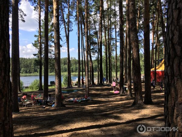 Боровушка еткуль карта
