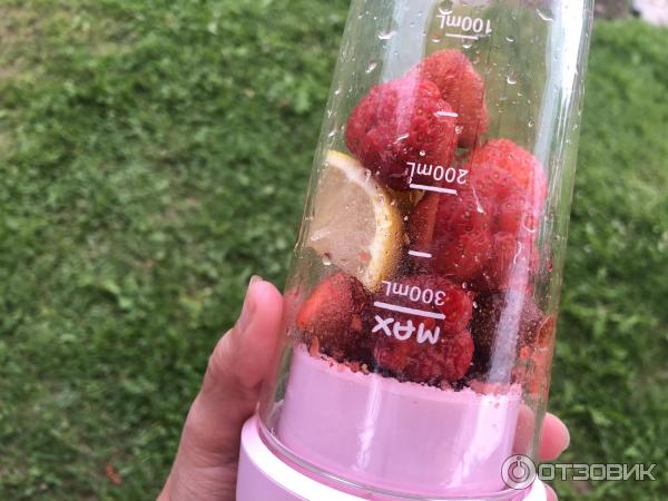 блендер Xiaomi 17PIN Star Fruit Cup