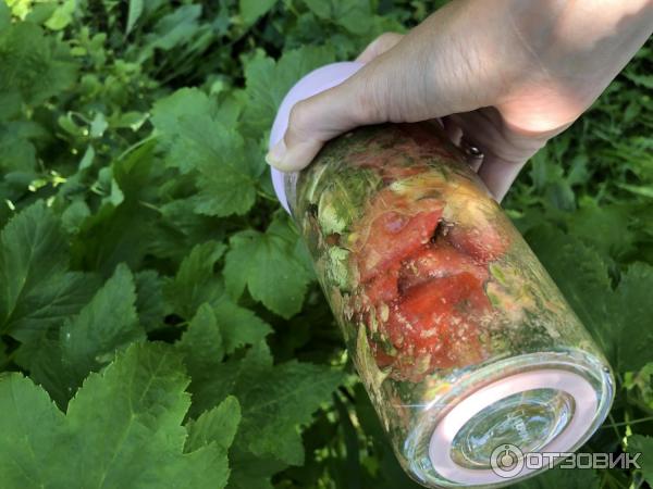 блендер Xiaomi 17PIN Star Fruit Cup