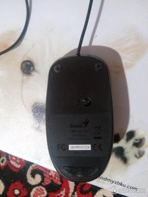 Otzyv O Provodnaya Opticheskaya Mysh Genius Dx 130 Klassicheskij Variant Myshki Rabotaet Otlichno