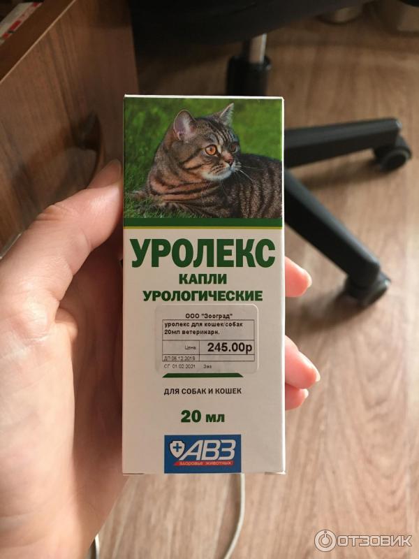Капли авз уролекс для собак и кошек. Урологические капли для собак. Уролекс 20 мл. Уролекс капли для кошек и собак 20 мл. Уролекс капли урологические для собак и кошек 20мл.