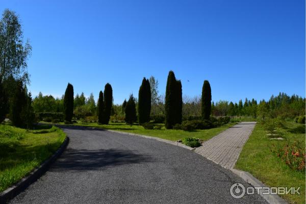 Дендрологический сад им. С. А. Гомзы (Беларусь, Мядель) фото