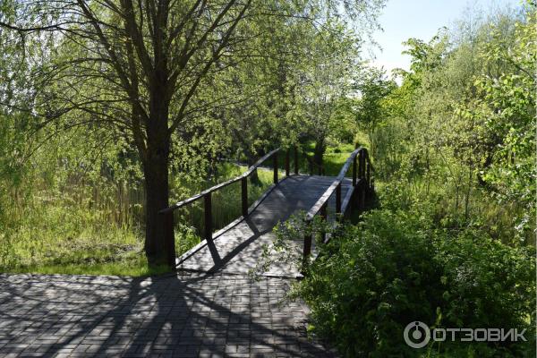 Дендрологический сад им. С. А. Гомзы (Беларусь, Мядель) фото