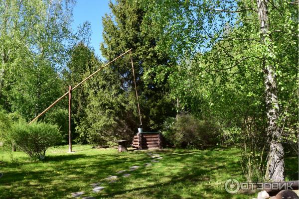 Дендрологический сад им. С. А. Гомзы (Беларусь, Мядель) фото