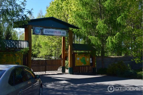 Дендрологический сад им. С. А. Гомзы (Беларусь, Мядель) фото