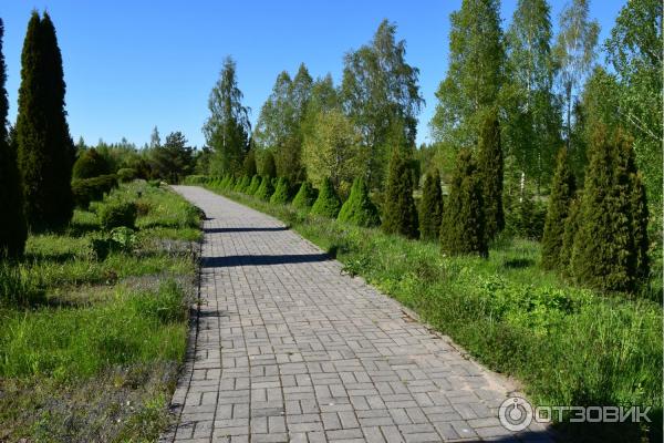 Дендрологический сад им. С. А. Гомзы (Беларусь, Мядель) фото