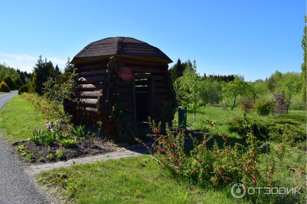 Дендрологический сад им. С. А. Гомзы (Беларусь, Мядель) фото