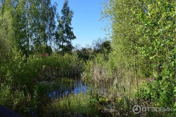 Дендрологический сад им. С. А. Гомзы (Беларусь, Мядель) фото
