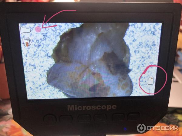 Микроскоп lcd цифровой электронный 600х Алиэкспресс