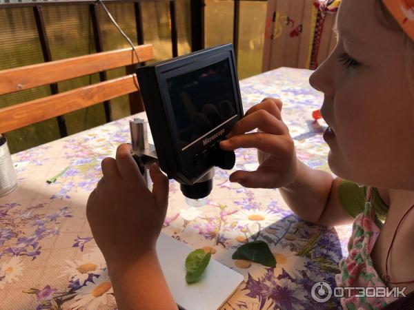 Микроскоп lcd цифровой электронный 600х Алиэкспресс