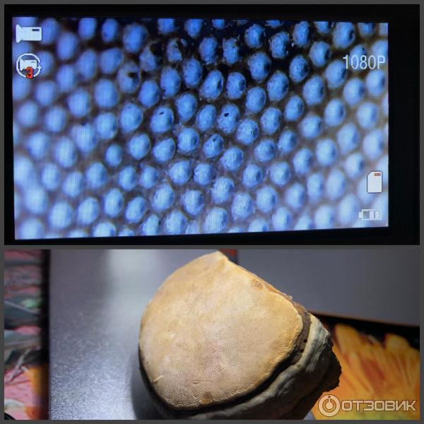 Микроскоп lcd цифровой электронный 600х Алиэкспресс