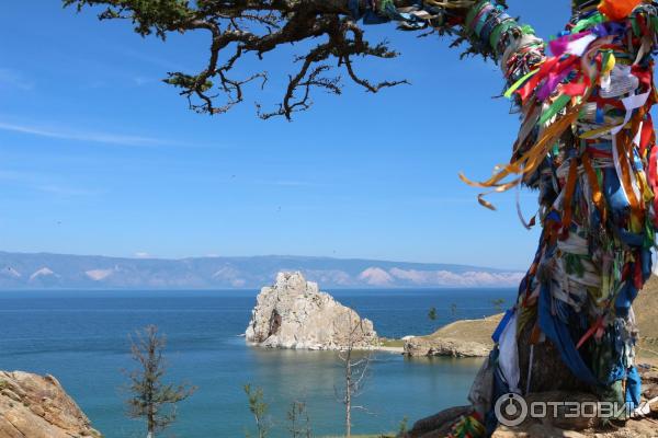 Калуга байкал
