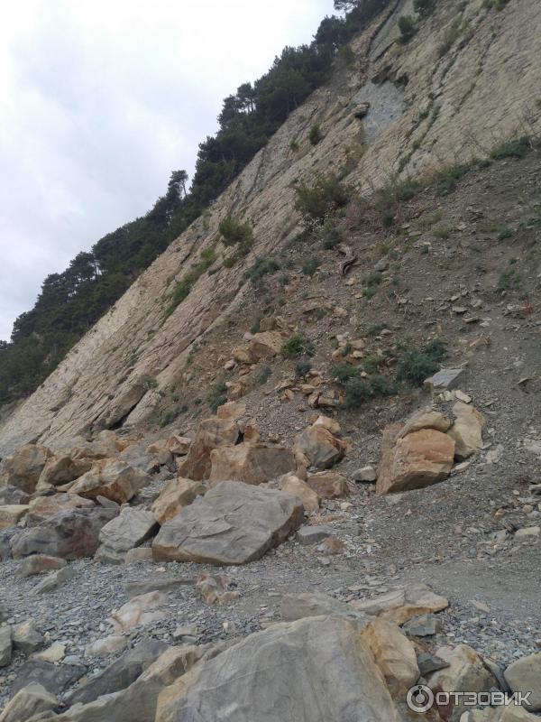 otzyv o otdyh v buhte inal rossiya krasnodarskij kraj zdes vodyatsya delfiny shreki i komary