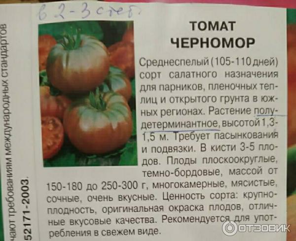 Tomato Chernomor recenze