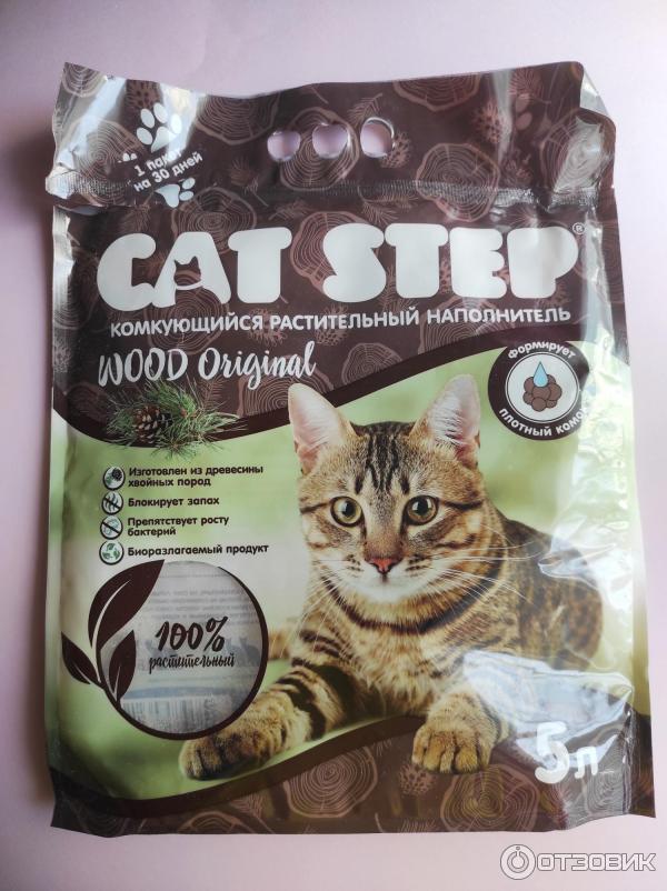 Cat step original