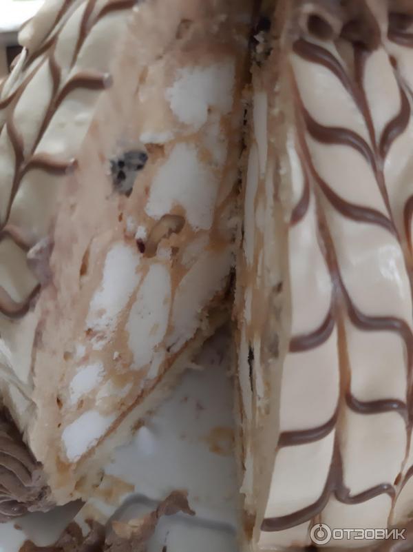 ���������� ���� ����� �������� ����� ���� ��������� ������