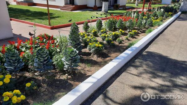 Читинский Дацан (Россия, Чита) фото
