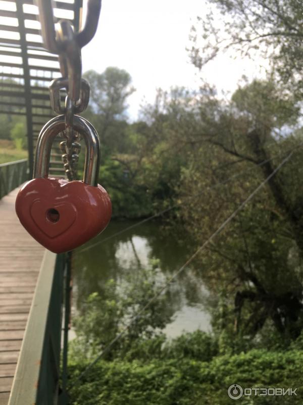 Смартфон Apple iPhone 6s Plus фото