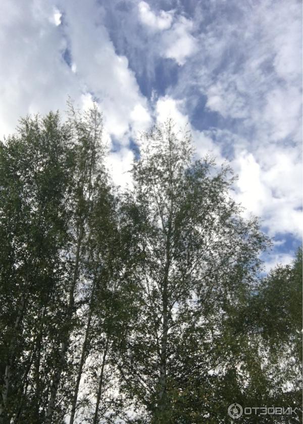 Смартфон Apple iPhone 6s Plus фото