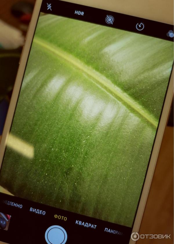 Apple iPhone 6S Plus