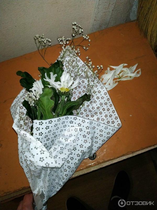 Магазины Цветов С Ценами Ульяновск Магазины Цветов С Ценами Ульяновск