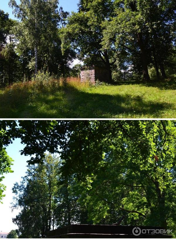 посёлок стрельна, петродворцовый район, санкт-петербург,. стрельно посёлок стрельна санкт-петербург. поселок стрельна отзывы. константиновский дворец (большой стрельнинский дворец). константиновский парк в стрельне.