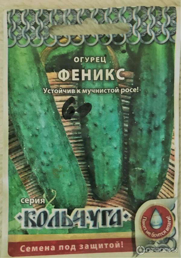 Семена нк каталог. Семена нк каталог