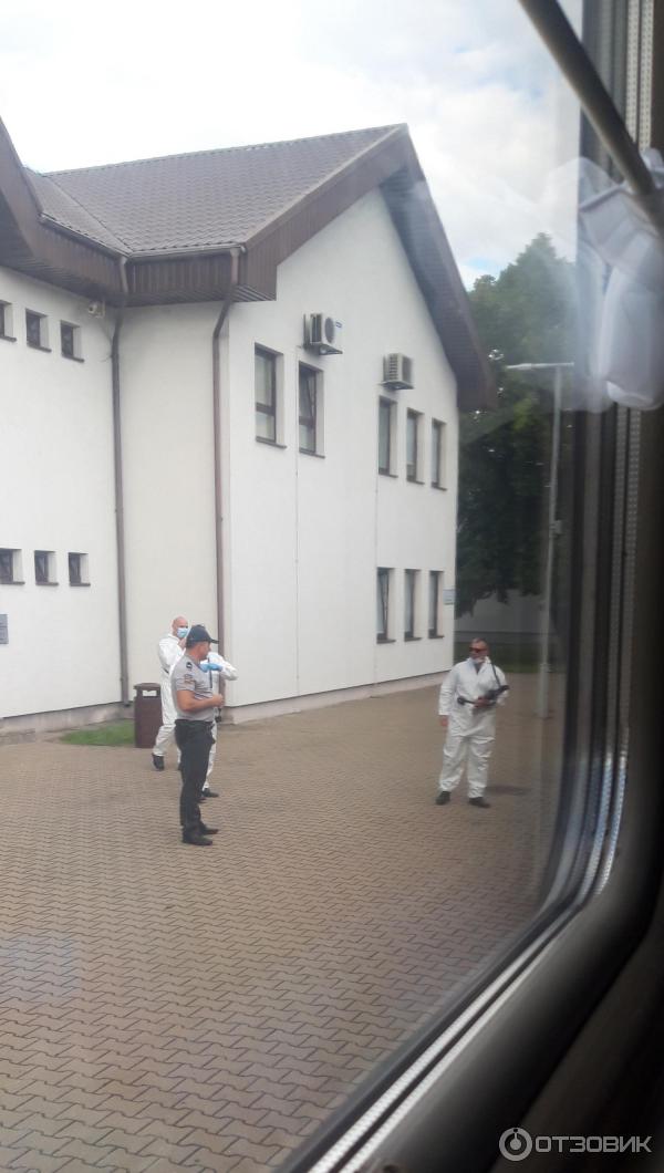 Прибытие поезда янтарь в калининград