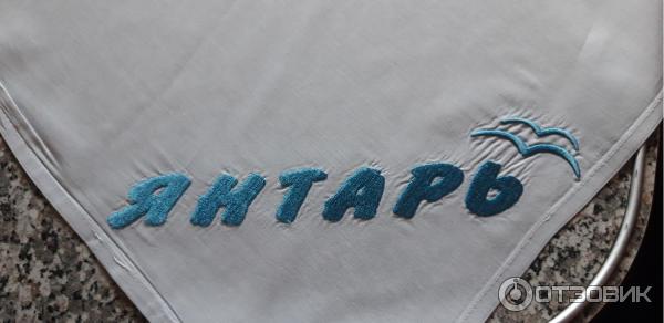 Прибытие поезда янтарь в калининград