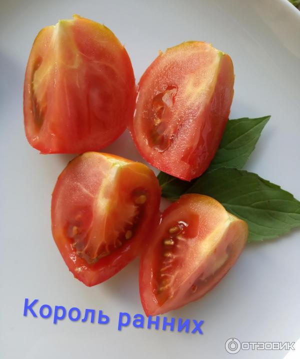 Отзыв о Семена томата Сибирский Сад Король ранних | очень довольна;  тепличный опыт Свердловская область